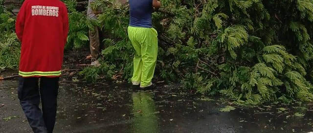 POSADAS: Rápido operativo tras la tormenta para relevar daños y asistir a vecinos
