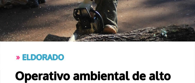 ELDORADO: Operativo ambiental de alto impacto mejoró espacios públicos y brindó atención veterinaria en la comunidad