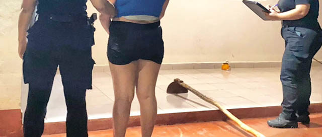 CAMPO VIERA: Detuvieron a una mujer que intentó agredir a su pareja con una azada